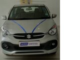 used MARUTI SUZUKI CILERIO at New Delhi in Rana Motors